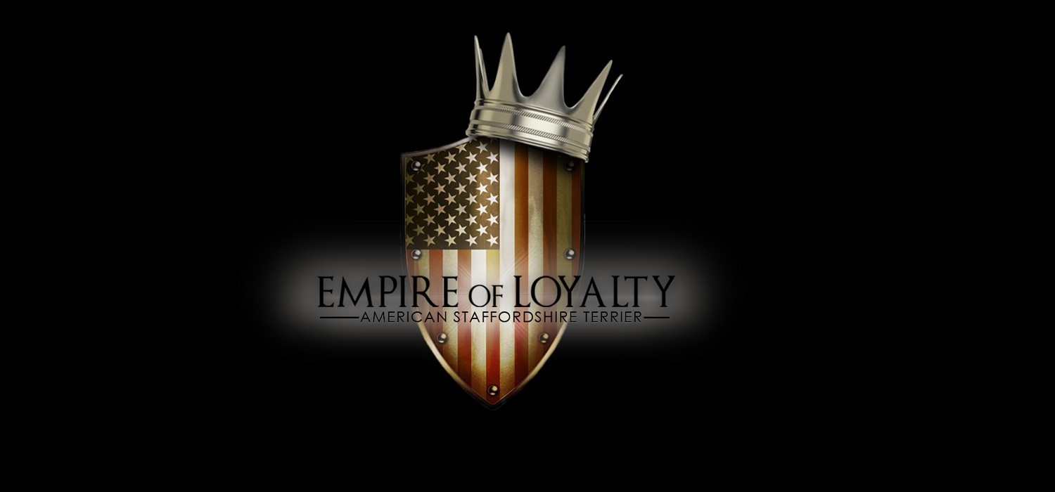 Empire Of Loyalty